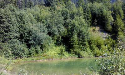 Paysage bucolique